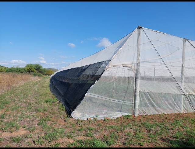 10HA FARM FOR SALE IN GROBLERSDAL RURAL